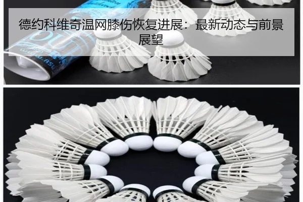 德约科维奇温网膝伤恢复进展：最新动态与前景展望